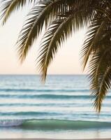 A tranquil beach view with palm fronds swaying gently over the shimmering turquoise waves. photo