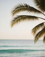 A tranquil beach view with palm fronds swaying gently over the shimmering turquoise waves. photo