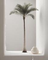 background with palm tree and cream on the side with water drops. photo