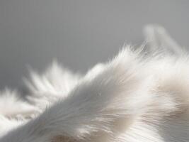 white fur texture with a light gray wash and a subtle shadow. photo