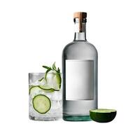 An artisanal gin bottle with a minimalist design, paired with a small glass filled with gin and tonic photo