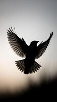 Bird mid flight silhouette, wings spread wide, dynamic pose against gradient background Vertical Mobile Wallpaper photo