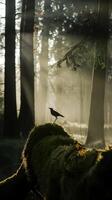 Forest at dawn with sunlight filtering through trees and bird perched on log Vertical Mobile Wallpaper photo