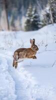 Rabbit hops through snow, brown fur contrasting white backdrop and blurred forest Vertical Mobile Wallpaper photo