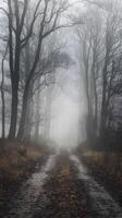 Misty forest pathway with barren trees invites curiosity and ethereal exploration Vertical Mobile Wallpaper photo