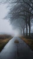 Overcast path with foggy atmosphere evokes tranquil yet mysterious autumn mood Vertical Mobile Wallpaper photo