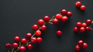 A black background with red berries on it. photo