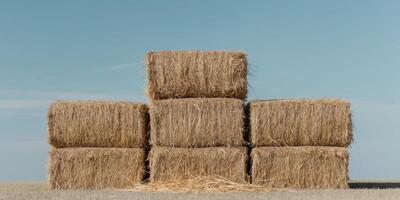 Three rectangular hay bales are stacked on top of each other making a large pile of dry straw. photo