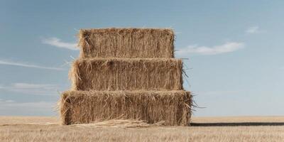 Three rectangular hay bales are stacked on top of each other making a large pile of dry straw. photo