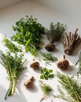 Freshly Harvested Herbs and Roots Neatly Arranged on a Light Background Showcasing Vibrant Green Foliage and Diverse Root Structures for Culinary Inspiration. photo