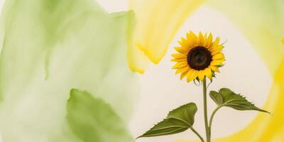Single Sunflower on a Green and Yellow Watercolor Background. photo