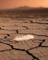 Feather resting on cracked earth during sunset in a desolate landscape showcasing nature's beauty and resilience. photo