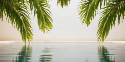 Lush Green Palm Leaves Overlooking a Tranquil Pool. photo