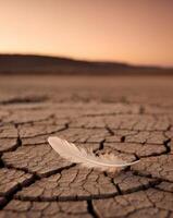 Feather resting on cracked earth during sunset in a desolate landscape showcasing nature's beauty and resilience. photo