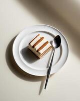 tiramisu on plate with spoon arranged perfectly with text space. photo