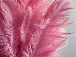 incredible texture of pink feathers overlaying one on one glamorous and fabulous texture. photo