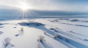 Frozen tundra with sparse vegetation aerial view. photo