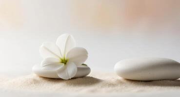 White Flower Resting on Smooth White Stones in Sand. photo