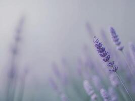Calm gradient of cool blues and grays with a touch of lavender. photo