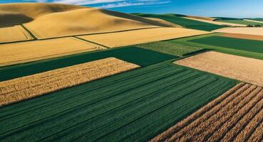 Scenic farmland with patches of different crops aerial. photo