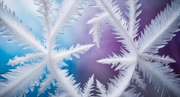 Frozen Ice Crystals Form a Natural Frame on a Blue and Purple Background. photo