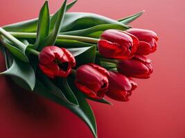 Red Tulips with Green Leaves on a Red Background. photo