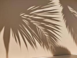 Palm Fronds Shadows on Light Beige Wall Minimal Abstract Background for Product Display and Presentation. photo