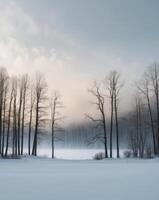 A snowy landscape with trees and a lake in the middle of it. photo