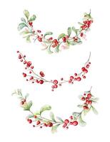Set of Merry Christmas berries and branches watercolor vector