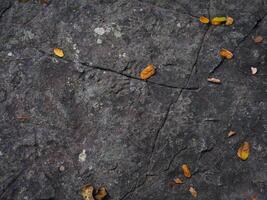 Brown stone texture in the forest for environmental care background. photo