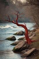 A red tree stands on the side of a river photo