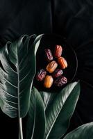 Date palm and dates on black background photo