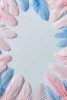 A circle of pink and blue feathers on a white background photo