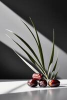 Date palm leaves and dates on a table photo