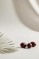 Date palm and two dates on white background photo