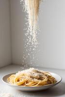 A plate of spaghetti with a sprinkle of parmesan photo