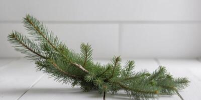 A small branch of evergreen on a white table photo