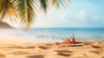 A palm tree and a beach with a sand dune photo