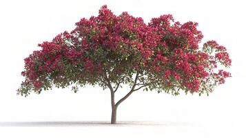 A tree with pink flowers on it photo