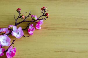 top view of pink flower representing Chinese New Year season with customizable space for text photo