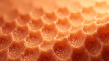 Close-up of a honeycomb texture with warm, golden tones photo