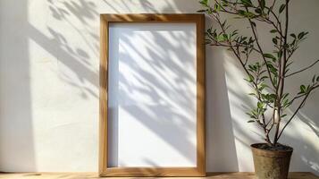 Empty Frame on Wall with Plant and Natural Light Shadows photo