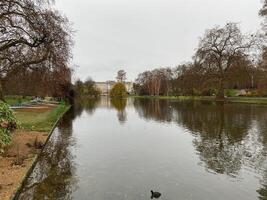 A pond with a duck floating in it photo
