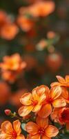 Orange flowers bloom vibrantly in a lush garden during springtime, showcasing nature's beauty and colors clearly photo