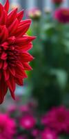 Vibrant red flower blooms in a lush garden during springtime photo