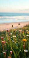 Vibrant wildflowers bloom near the beach during golden hour showcasing nature's beauty and serenity photo