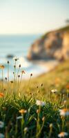 Flowers bloom near the coastline as sunlight illuminates the tranquil ocean waves in the late afternoon photo