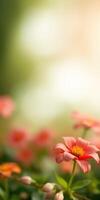 Beautiful pink flowers blooming in a garden during springtime photo
