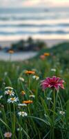 Vibrant wildflowers bloom on a sunny coastal meadow near a serene beach during sunset photo