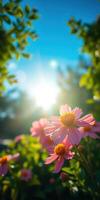 Bright pink flowers basking in sunlight with lush green leaves on a sunny day photo